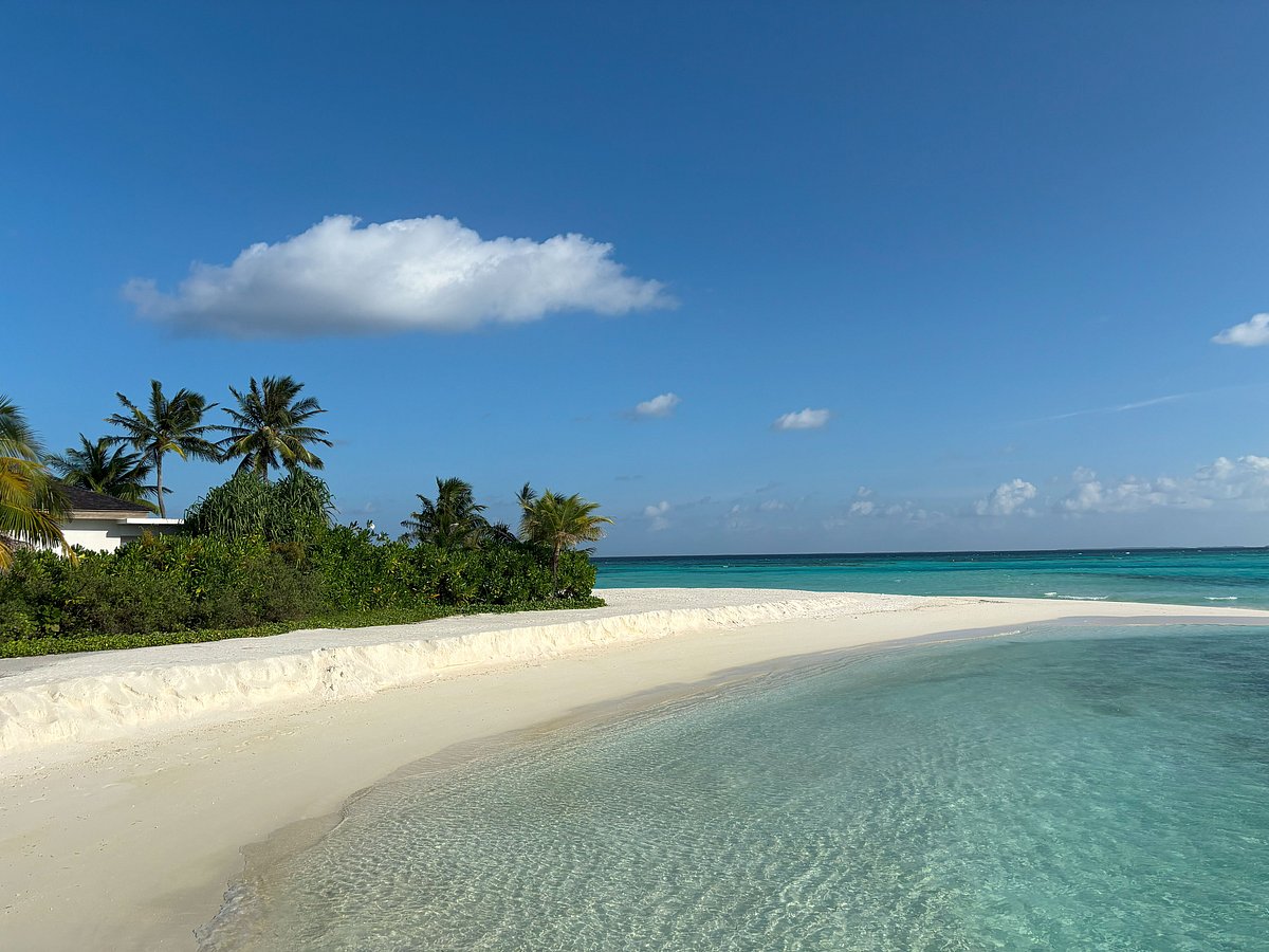 Author : Explore the Maldives in a different way