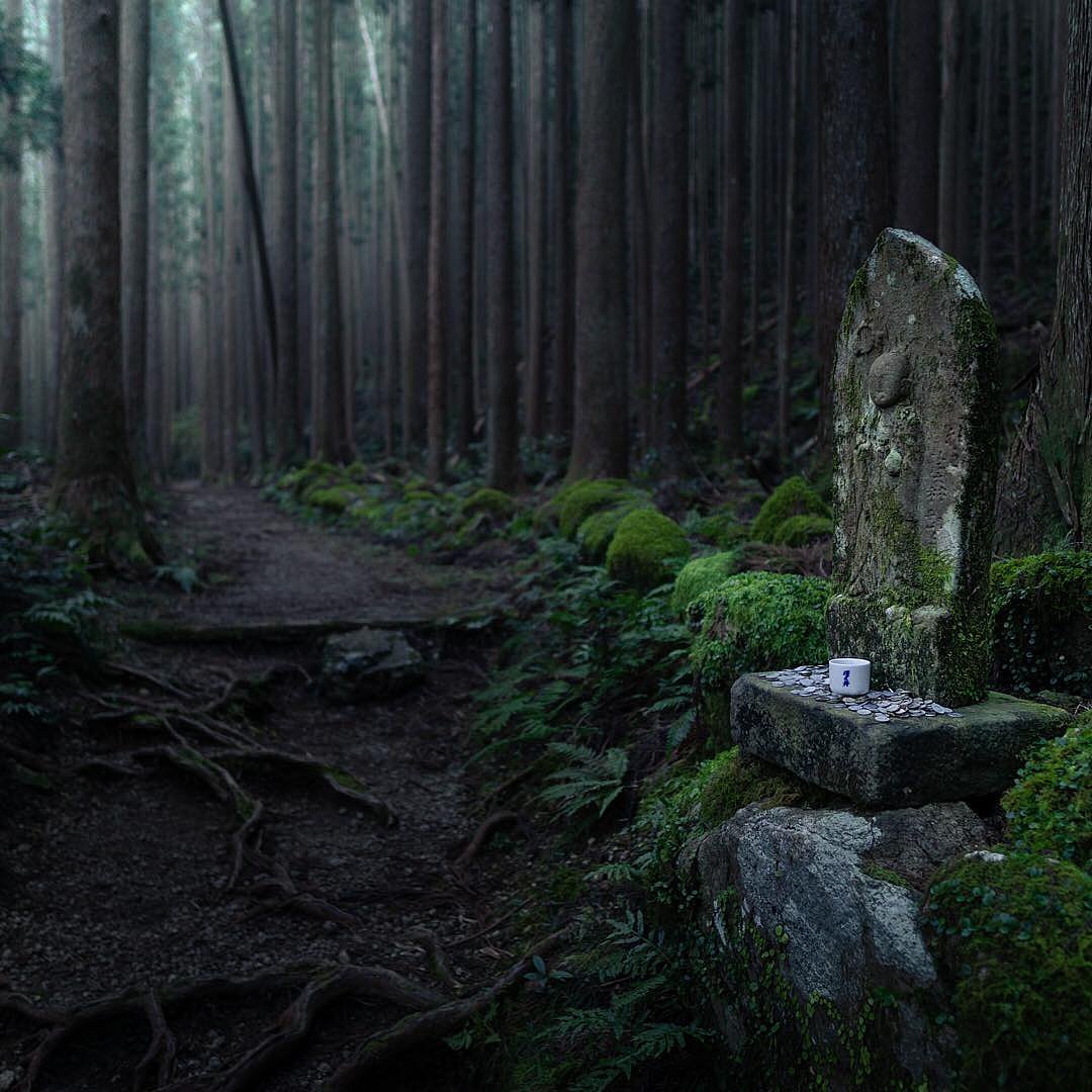 A walk in the trail of Kumano