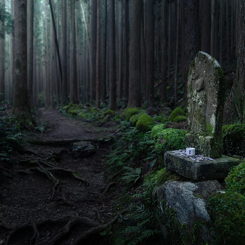 A walk in the trail of Kumano