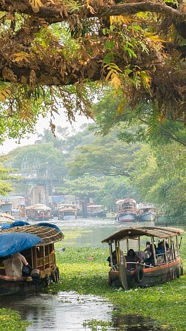 The pretty backwaters of Alleppey