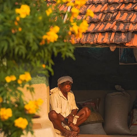 The Bharias have a deep knowledge of the herbs and medicinal plants that grow in the Patalkot Valley