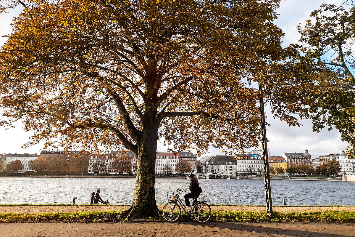 Autumn in Copenhagen.
