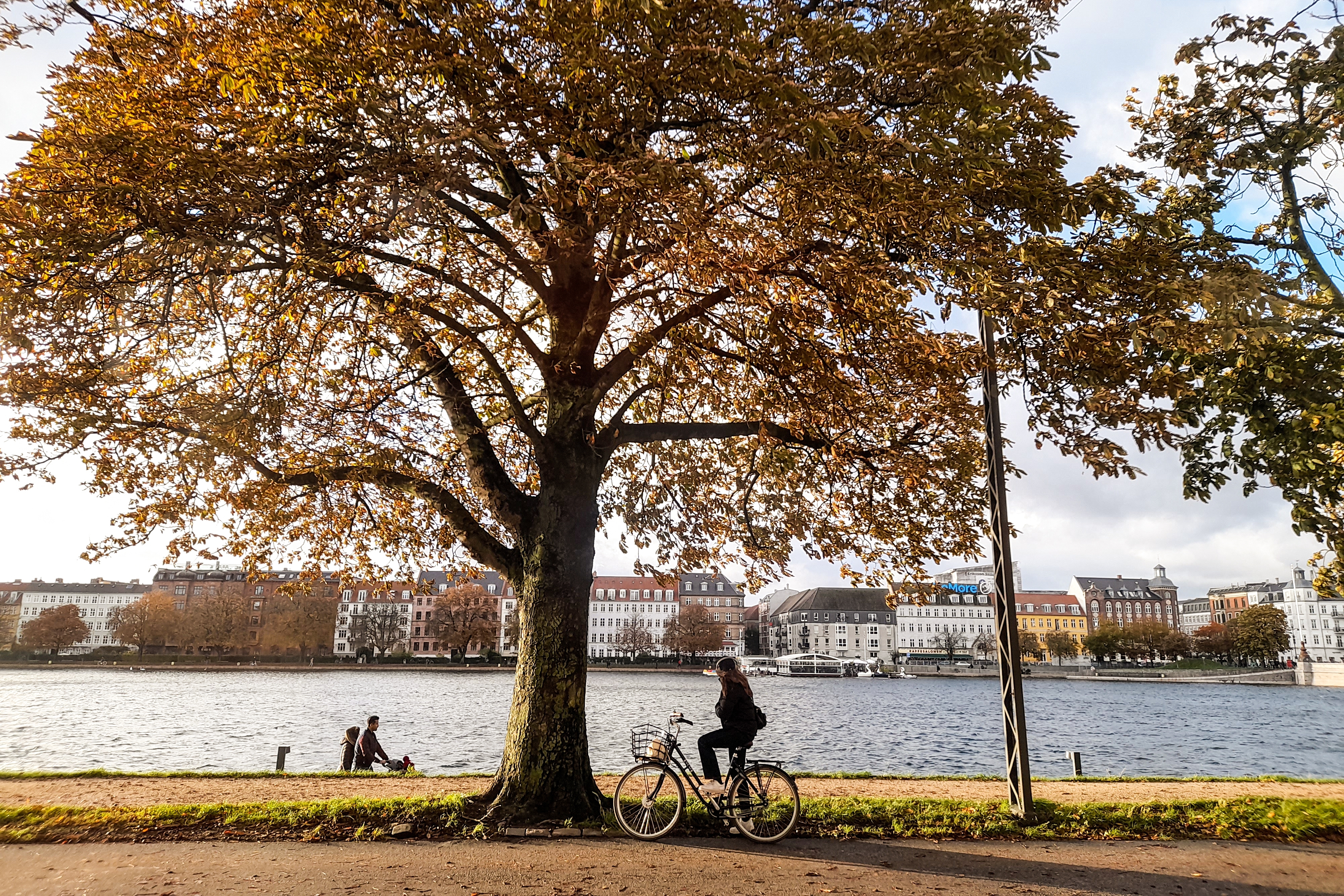 Autumn in Copenhagen.