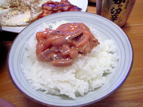 Ikano shiokara on rice