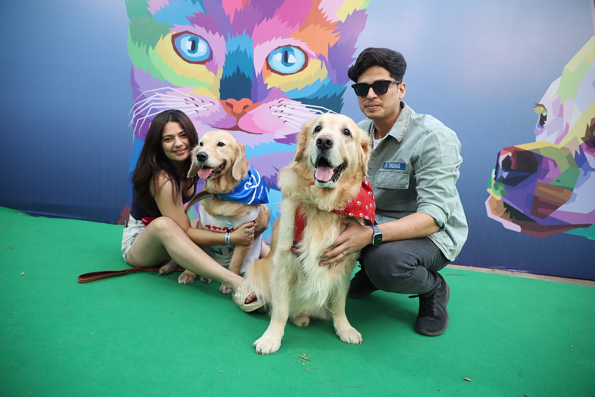 This weekend, Pet Fed is marking a decade of bringing joy and connection to pets and their families