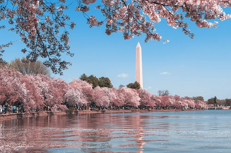 Washington, DC - Photo by Andy He on Unsplash