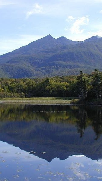 At Shiretoko National Park