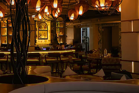 Botany brew and kitchen in Bangalore 