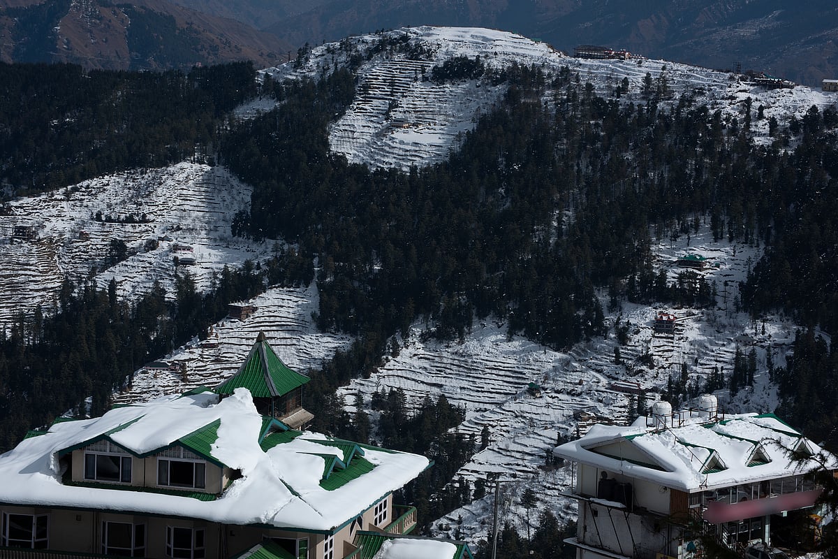 A snow-covered Fagu. The name means fog