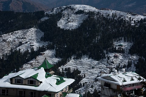 A snow-covered Fagu. The name means "fog"