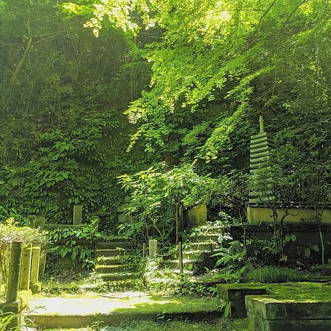 The green spaces of Tokei-ji