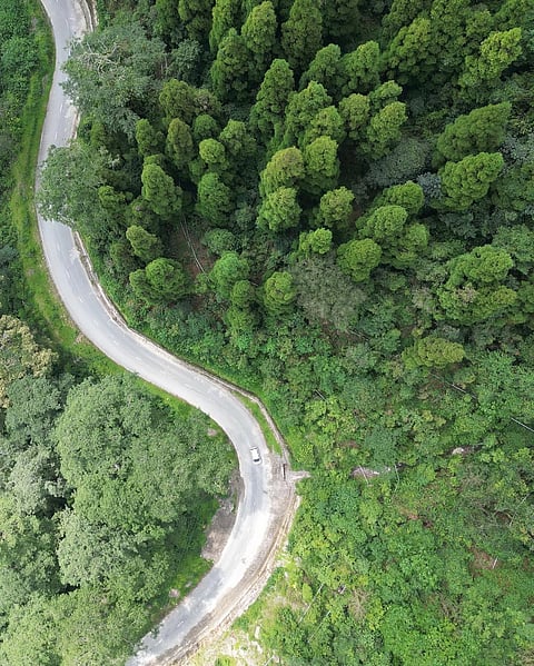 An aerial view of Neora Valley National Park