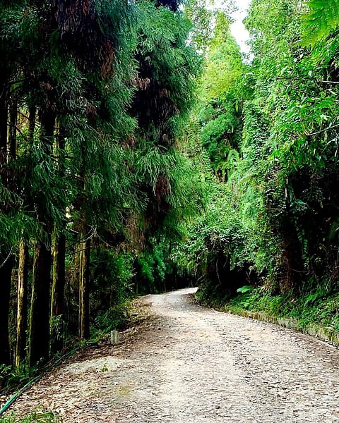Views from around Kolakham Village
