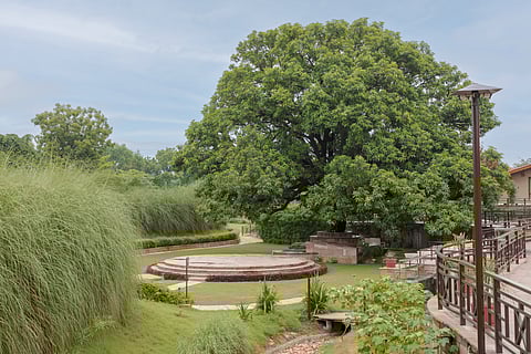 The resort has been designed to reflect the essence of the forest