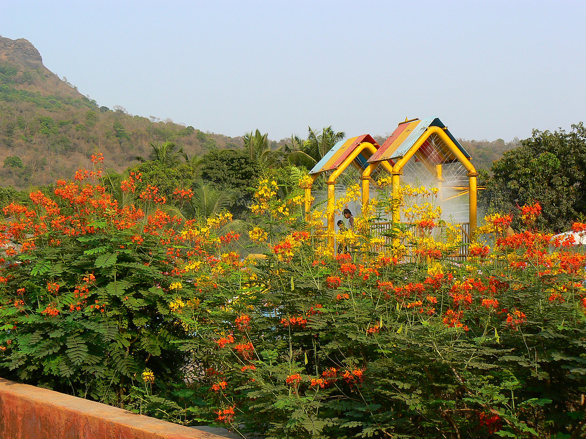 A view of Tropical Garden Barbados