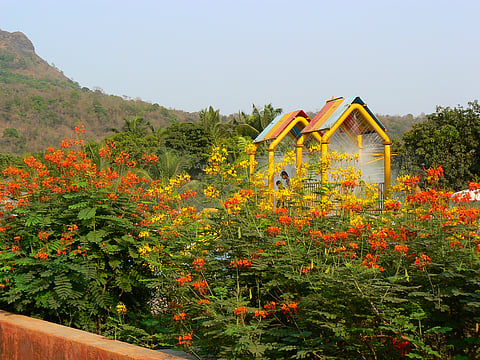 A view of Tropical Garden Barbados