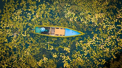 Shutterstock.com : Enjoy Honnavars pristine beaches and secluded nature spots