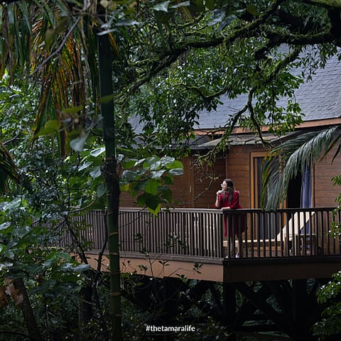 The resort is set in lush greenery, amid vibrant plantations of aromatic coffee, cardamom, and pepper