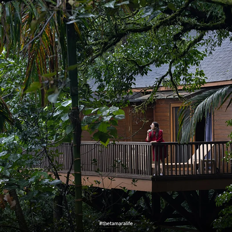 The resort is set in lush greenery, amid vibrant plantations of aromatic coffee, cardamom, and pepper