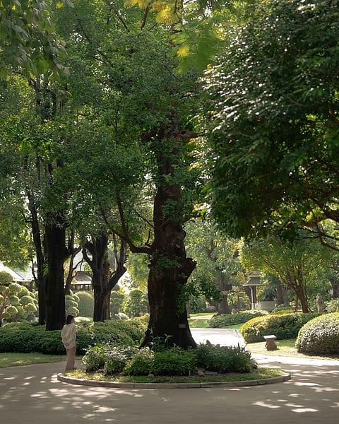 The property is located in the lush and beautiful Nai Lert Park