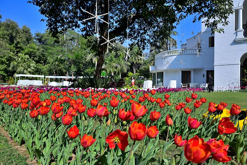 Embassy of The Netherlands
