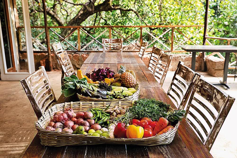 Cest Lavi in Velim offers farm-to-table dining experiences