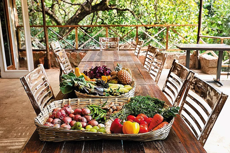 Cest Lavi in Velim offers farm-to-table dining experiences