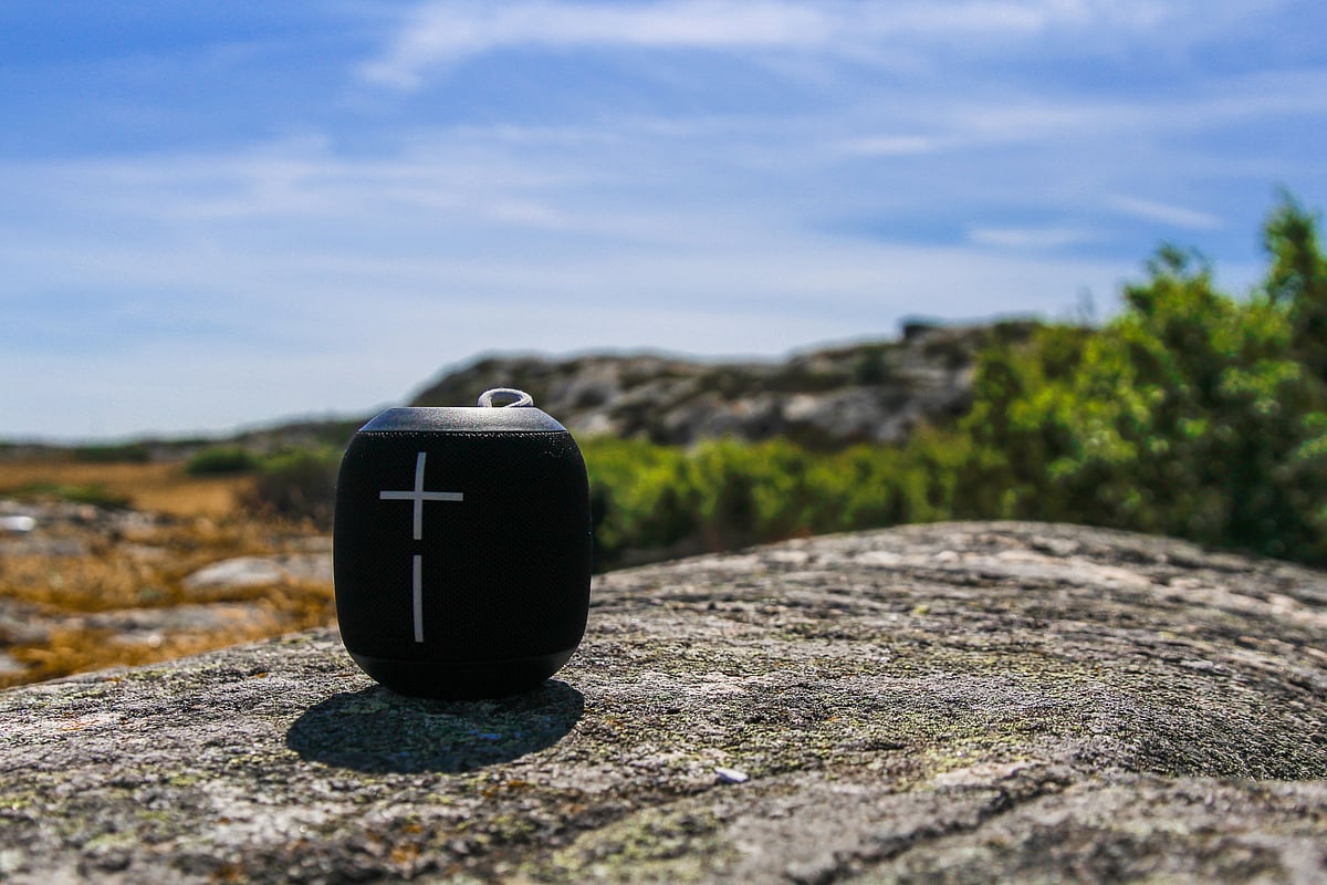 The most important feature when buying an outdoor speaker is its weather resistance