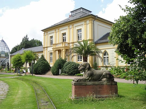 A view of Palmengarten