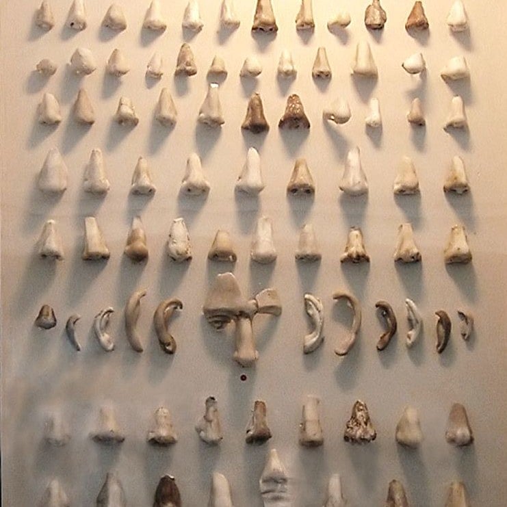 Nose Museum