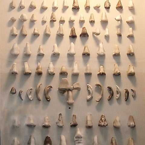 Nose Museum