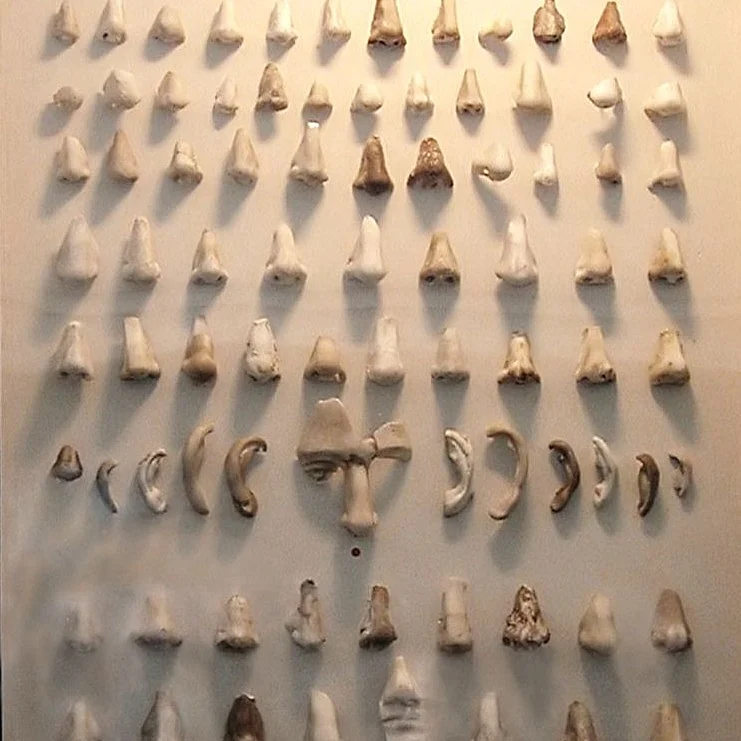 Nose Museum