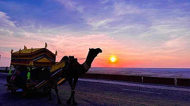 shutterstock : The Rann of Kachchh is a salt marshy land in the Thar Desert in the Kachchh district of western Gujarat.
