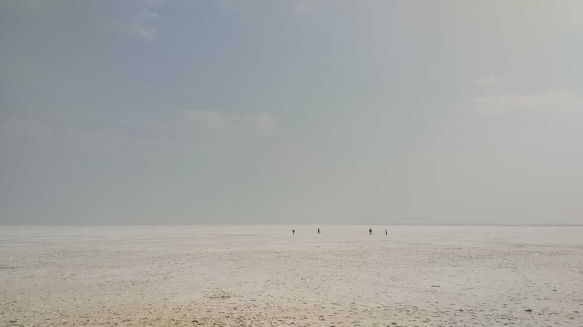 The White Rann is a vast expanse of salt flats in Gujarat.