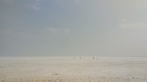 The White Rann is a vast expanse of salt flats in Gujarat.