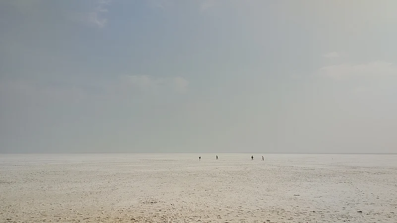 The White Rann is a vast expanse of salt flats in Gujarat.