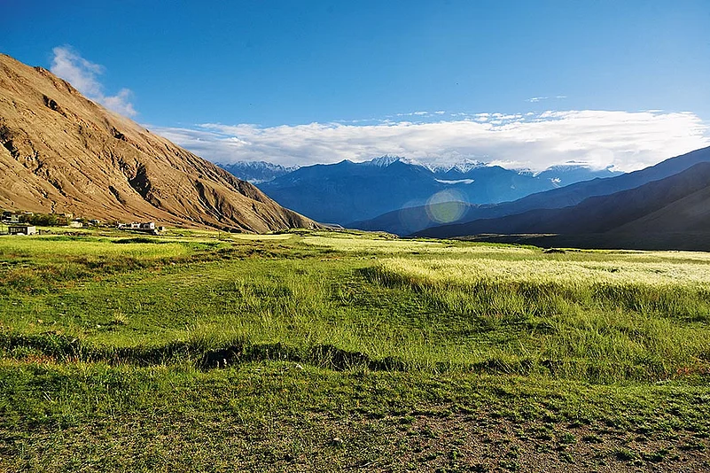Butterfly habitat near Warila Pass, Ladakh