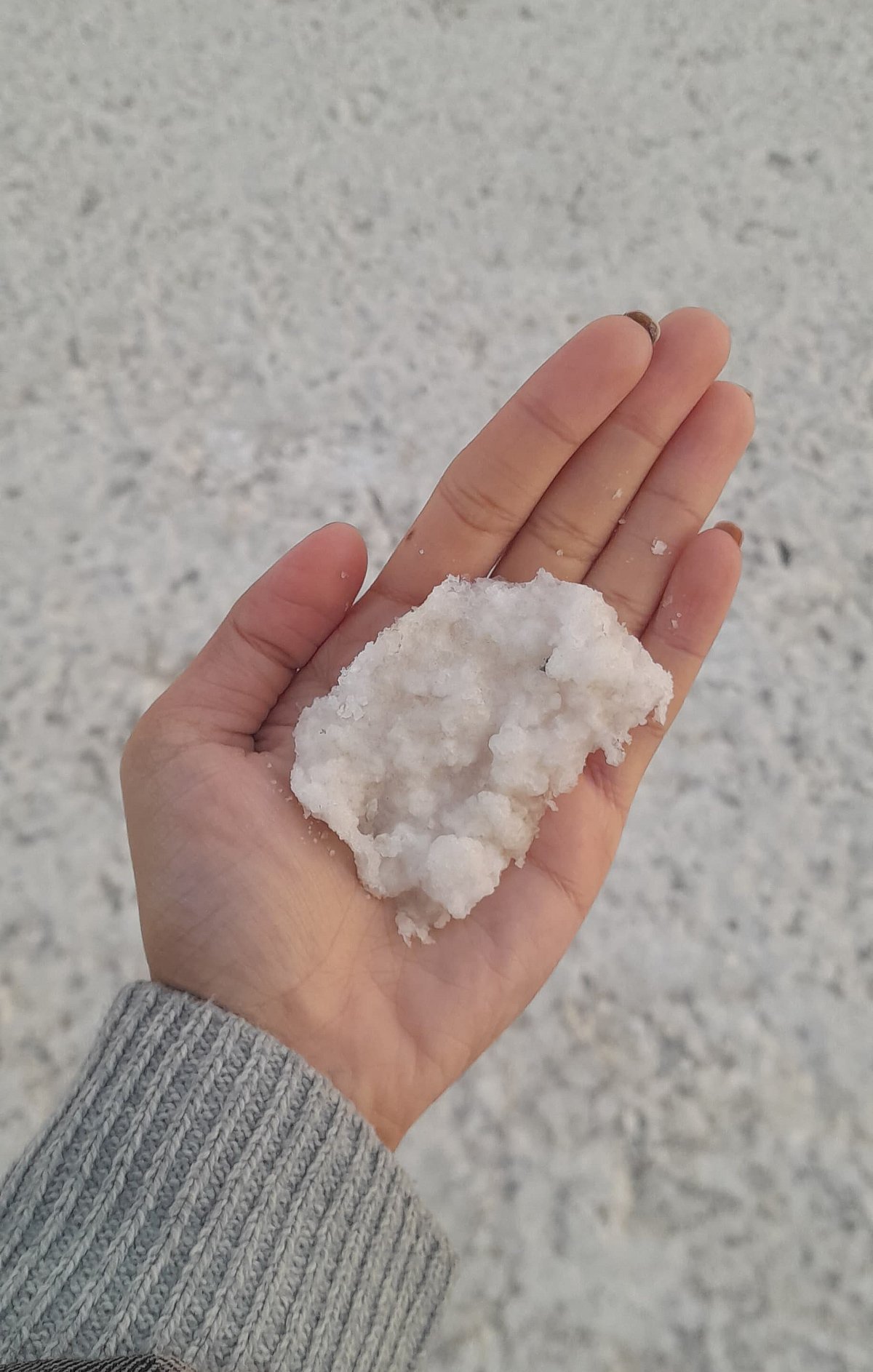 The salts of Kachchh are pristine white. 