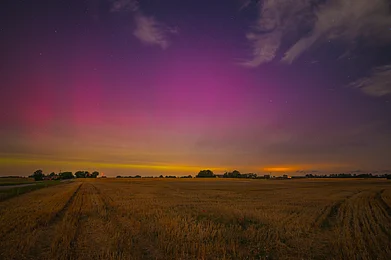 c_scholz/Shutterstock : The northern lights over a field in Denmark