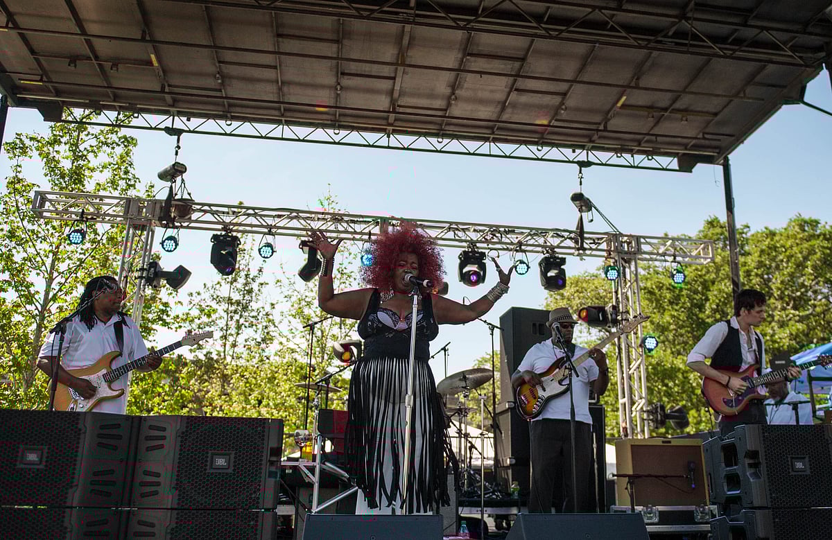 A musician at the Baton Rouge Blues Festival