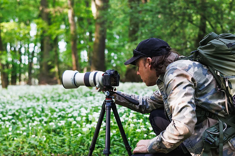 Champion focused on documenting and protecting wildlife. (representational photograph)