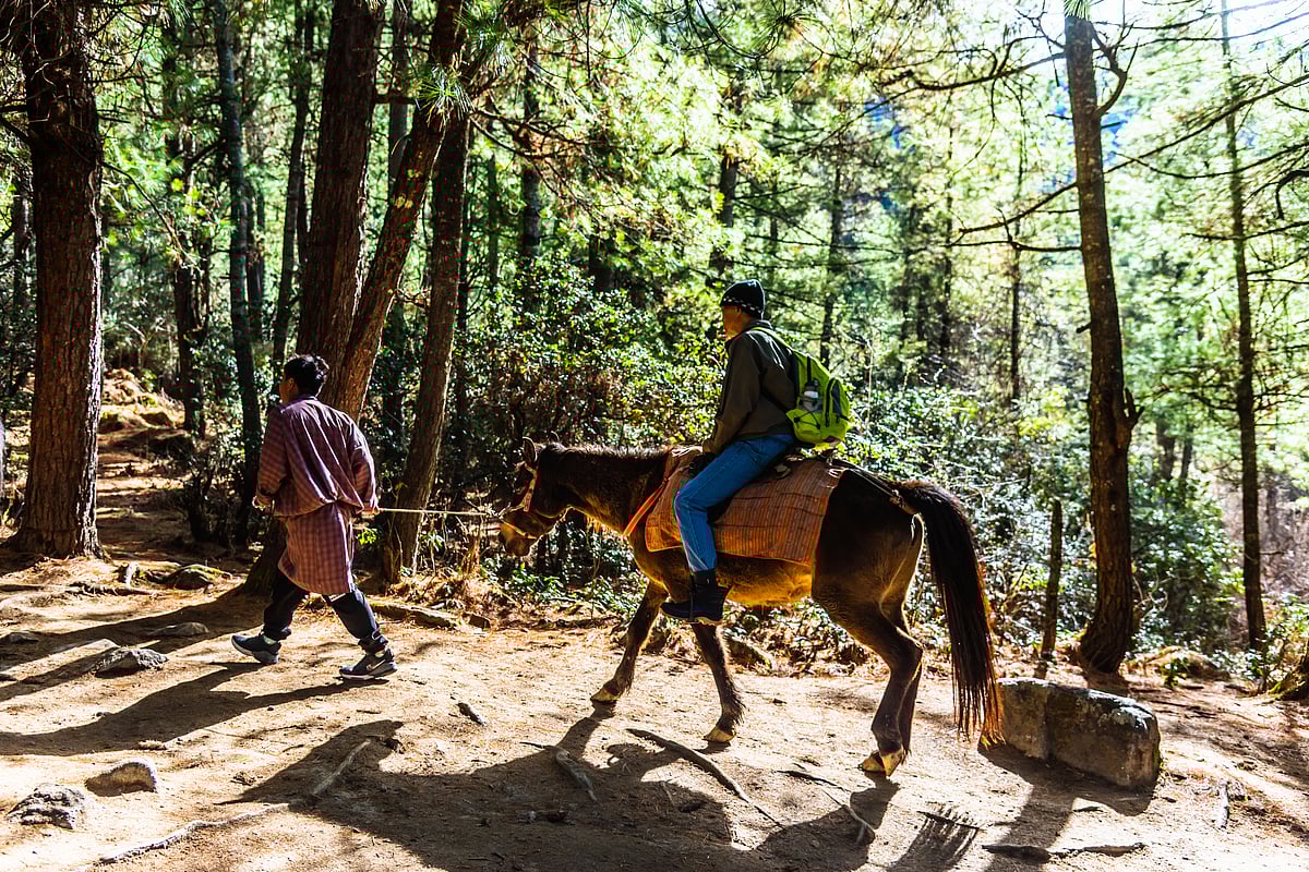 A visitor on a horse in the Paro Valley near the Paro Taktsang.