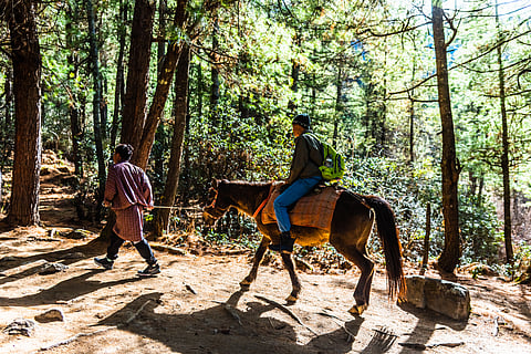 A visitor on a horse in the Paro Valley near the Paro Taktsang.