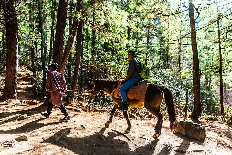 A visitor on a horse in the Paro Valley near the Paro Taktsang.