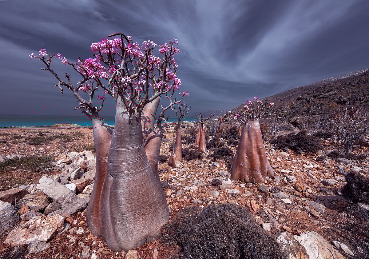 The archipelago have a varied topography.