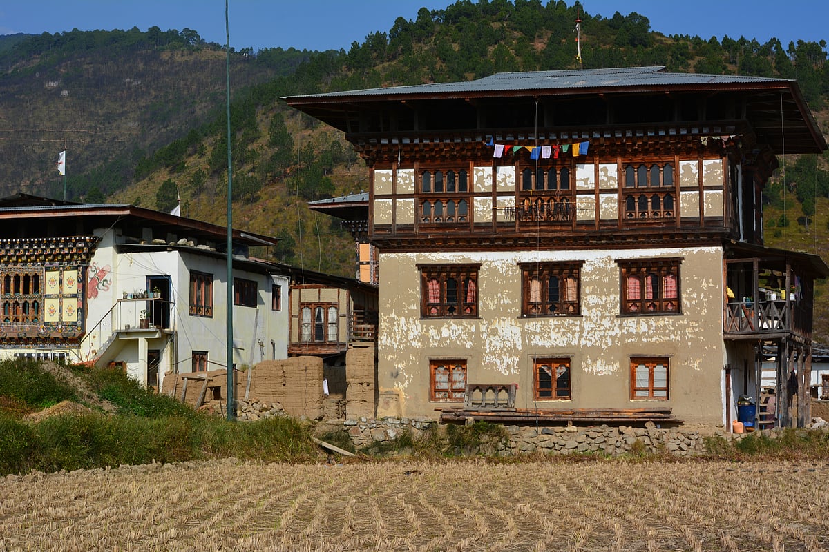 Traditional houses in the Punakha Valley.