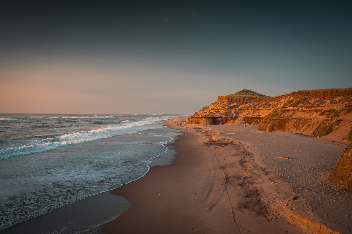 The dune landscape of Thy National Park.