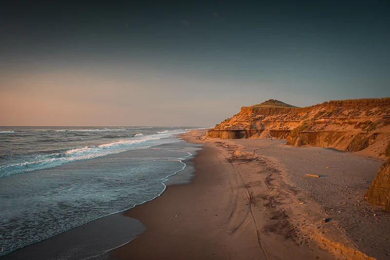 The dune landscape of Thy National Park.