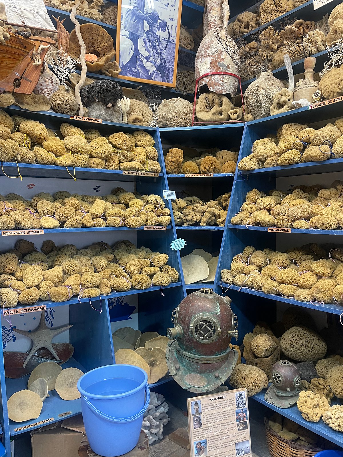 Take home sponges as souvenirs