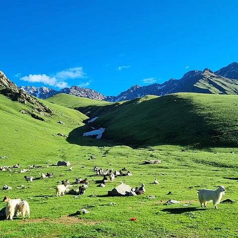 Views from the Surya Top Trek.